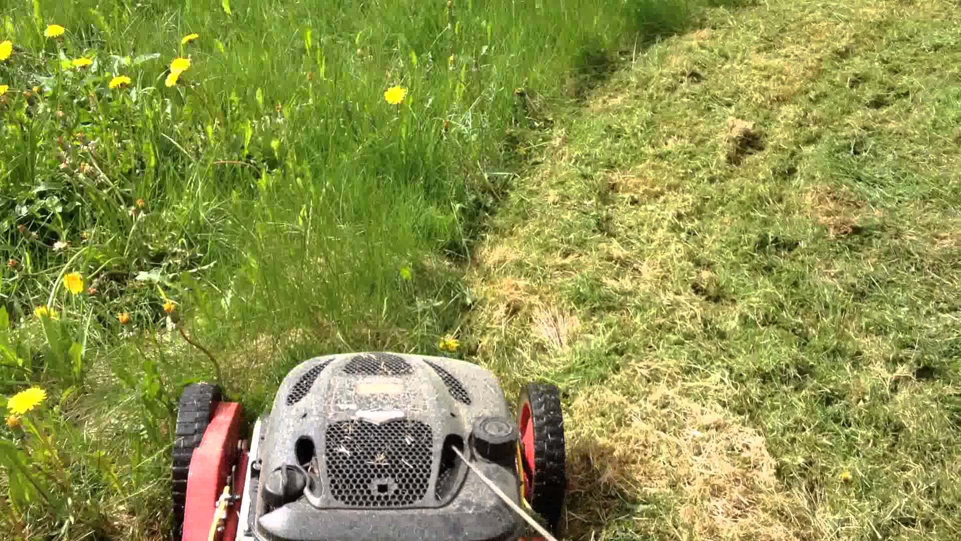 Guide to cutting long grass