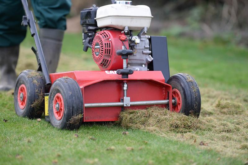 Is lawn scarification beneficial